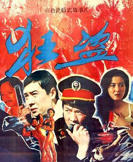 狂盗封面图