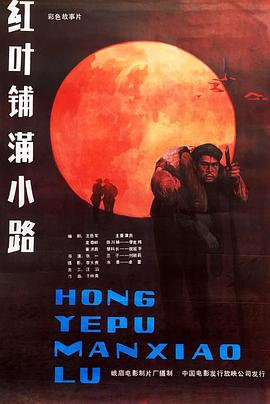 红叶铺满小路封面图