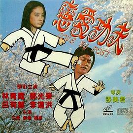 恋爱功夫封面图