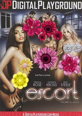 情爱护卫队封面图