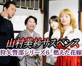 狩矢警部系列6 燃烧的新娘封面图