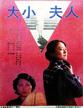 大小夫人封面图