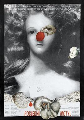 最后的蝴蝶封面图