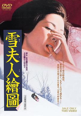 雪夫人绘图封面图