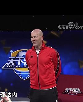 齐达内：足球与智慧的肖像封面图