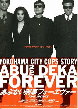 玩命警探5封面图