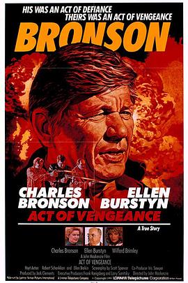 复仇行动封面图