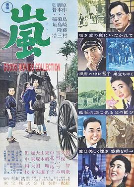 岚封面图