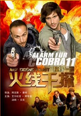 极速特警之独挡一面封面图