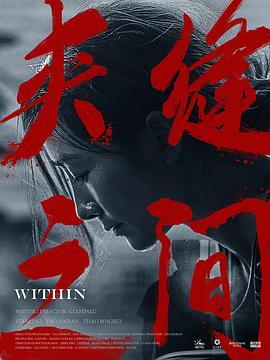 夹缝之间封面图
