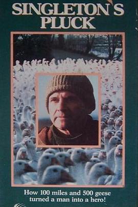 辛格尔顿的勇气封面图