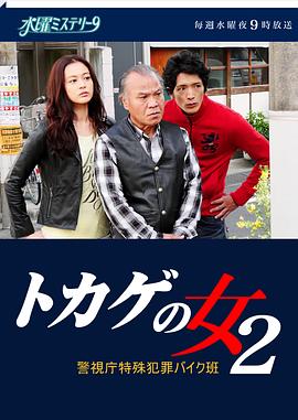 蜥蜴女2 警视厅特殊犯罪摩托班封面图