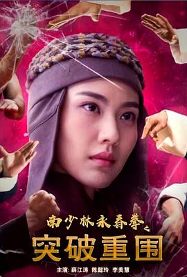 南少林永春拳之突破重围封面图
