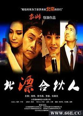 北漂合伙人封面图