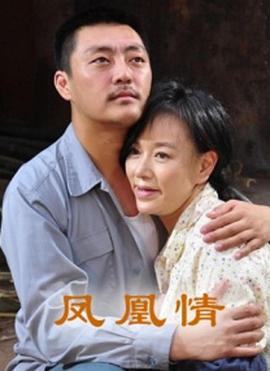 凤凰情封面图