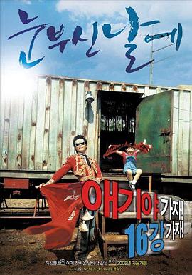 闪亮的日子封面图