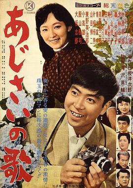 紫阳花之歌封面图