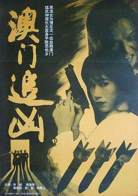 澳门追凶封面图