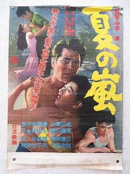 夏日骤雨封面图