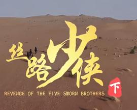 丝路少侠下部封面图