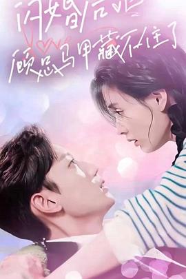 闪婚后，顾总马甲藏不住了封面图