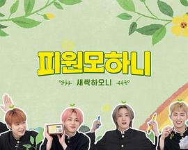 新芽HARMONY封面图