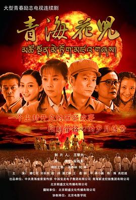 青海花儿封面图