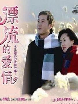 漂流的爱情封面图