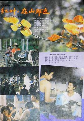 红叶，在山那边封面图