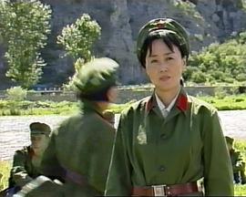 梧桐梧桐封面图