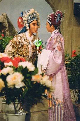 皇甫少华与孟丽君封面图