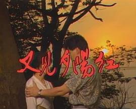 又见夕阳红封面图