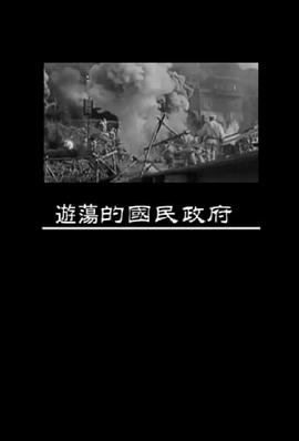 凤凰大视野：游荡的国民政府封面图