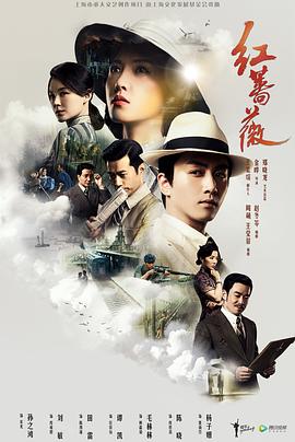 红蔷薇封面图