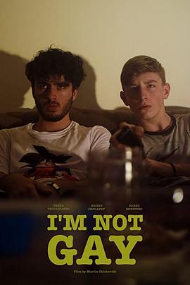我不是同性恋封面图