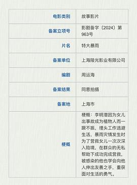 特大暴雨封面图