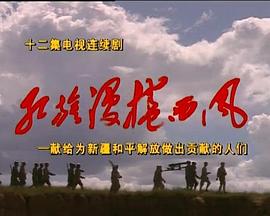 红旗漫卷西风封面图