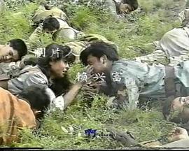 腥风血雨封面图