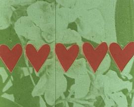 Tout l&#39;amour封面图