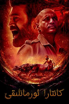 神秘森林封面图