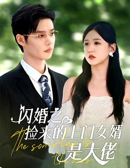 闪婚之捡来的上门女婿是大佬封面图