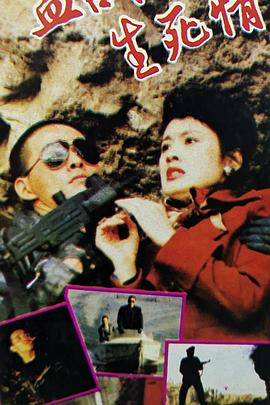 血战生死情封面图