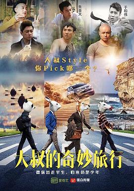 大叔的奇妙旅行封面图