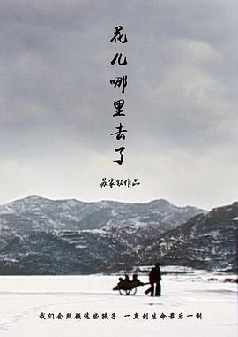 花儿哪里去了封面图