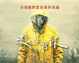 山忌黃衣小飛俠封面图