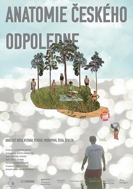 捷克午后的剖析封面图