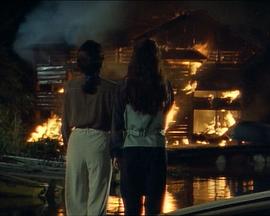 被盗的情事封面图