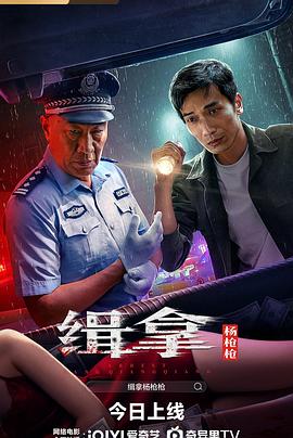 缉拿杨枪枪封面图