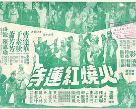 火烧红莲寺（上集）封面图