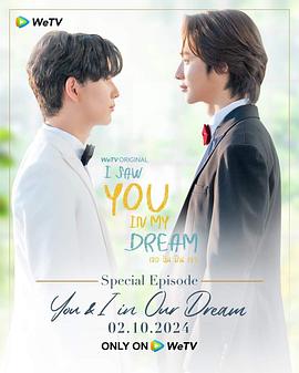 我在梦里见过你 特别篇:梦中你我封面图